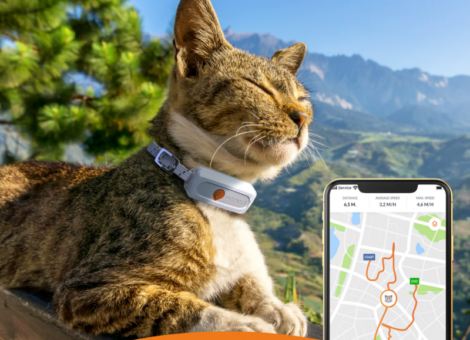 weenect-gps-chat-blanc-1