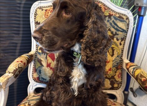 797b4749-699f-489b-bab8-c7d56ae82e36