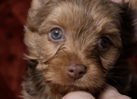 Capture-decran-2025-11-25-145721