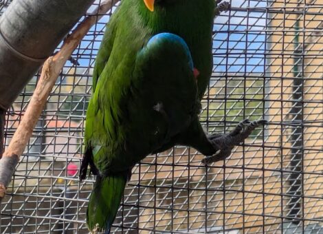 PXL_20251025_101449805