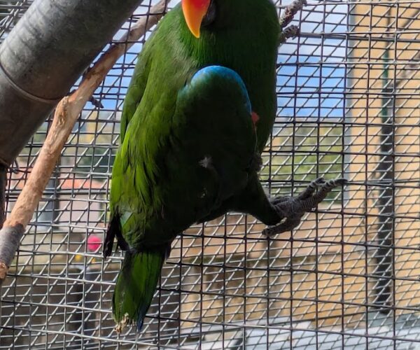 PXL_20251025_101449805