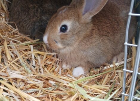 Screenshot_20251228_193340_Gallery