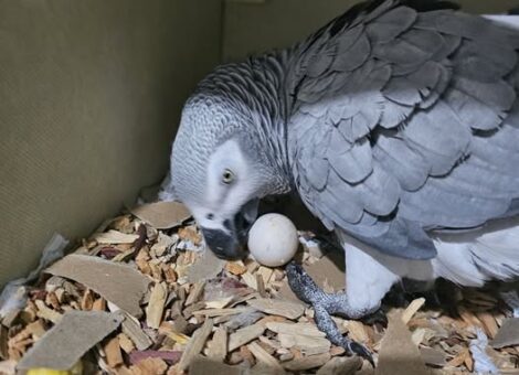 600344347_1289729329842264_8201887444490319638_n