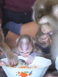 AllVideo_01759684228223