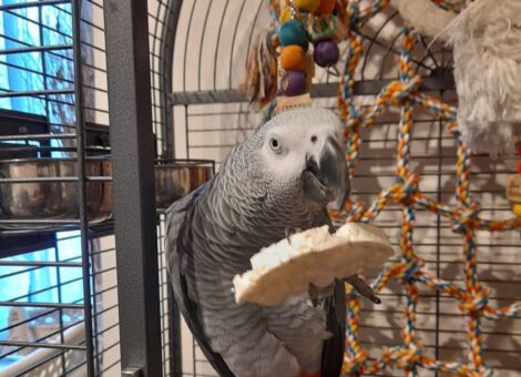 IMG-20260125-WA0001-1