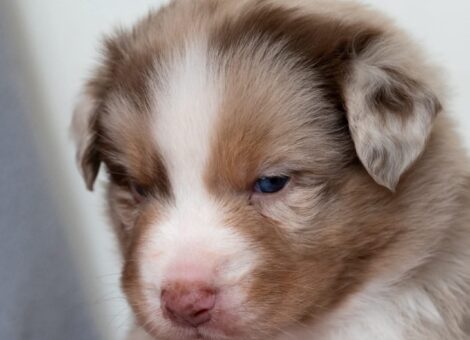 facebook_1772095990416_7432709300988749952