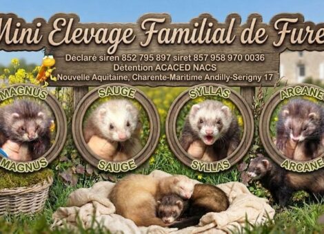 657154559_122197968008578894_528697858281756410_n