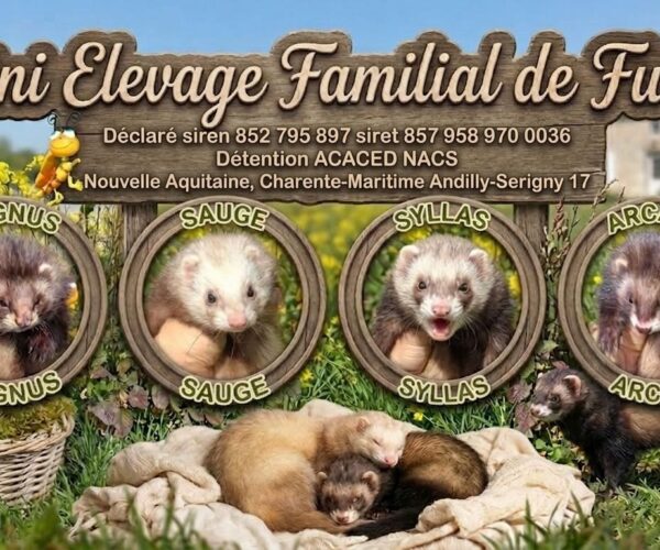 657154559_122197968008578894_528697858281756410_n