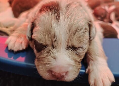 Screenshot_20260328-074615