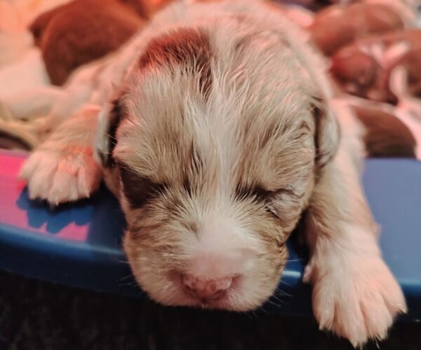 Screenshot_20260328-074615