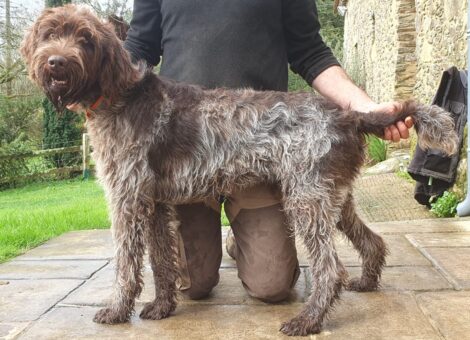 WhatsApp-Image-2026-02-18-at-15.22.56