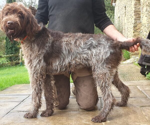 WhatsApp-Image-2026-02-18-at-15.22.56