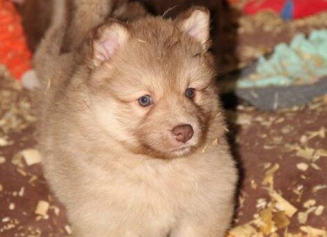 b7f9e13c-e12c-440e-a0e7-3ebed7e92a70