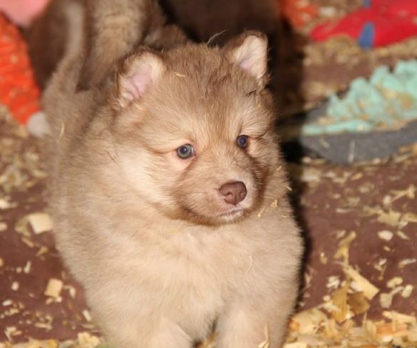 b7f9e13c-e12c-440e-a0e7-3ebed7e92a70