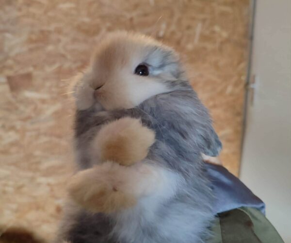 ddd747f9493bdd140d18d98c158f1c73