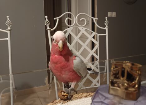 38b3b1e5-3624-4e9b-8d37-1714914c7d18-1_all_45542