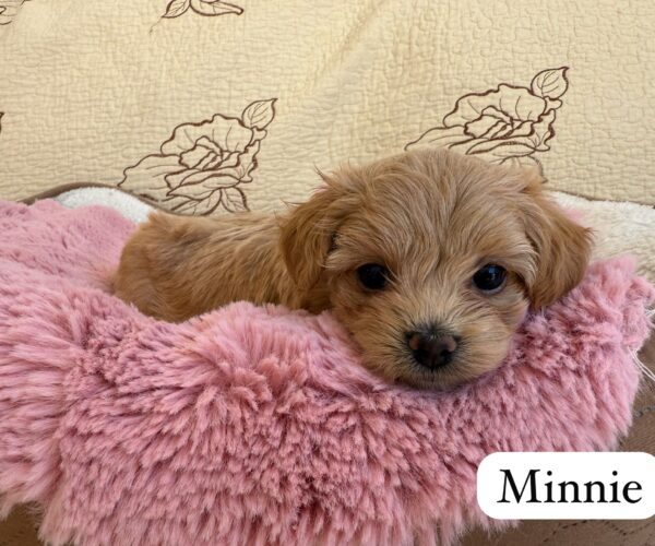 95ad2c32-bf52-4be8-932f-8aa07395177b