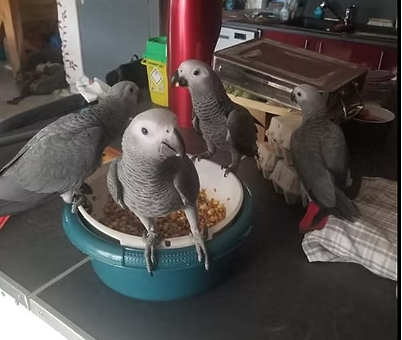 Capture-decran-2026-04-16-230259