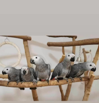 Capture-decran-2026-04-22-144528