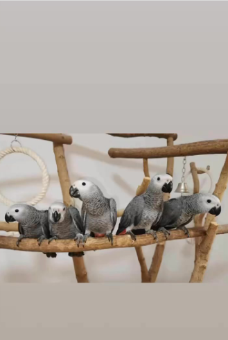 Capture-decran-2026-04-22-144528