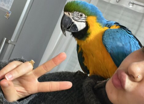 E7FA53DA-60B4-4128-BD2D-E2363BD40C5D