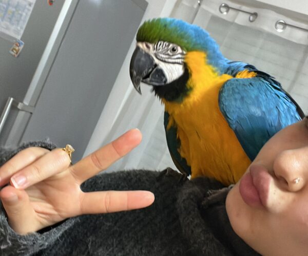 E7FA53DA-60B4-4128-BD2D-E2363BD40C5D