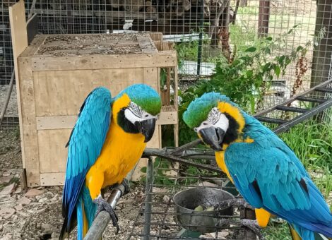 IMG_20250728_113641_2951