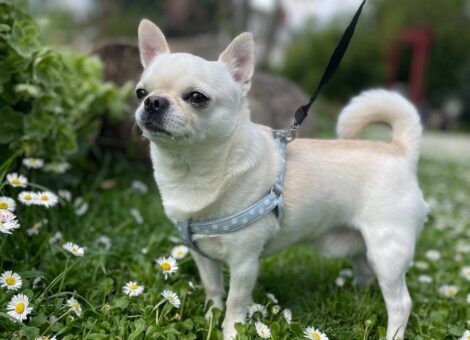 photo_2026-04-02_13-19-52-2