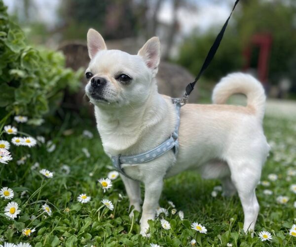 photo_2026-04-02_13-19-52-2