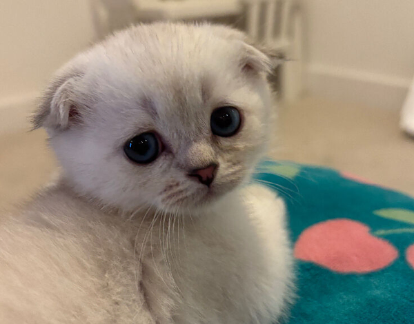 597dbc926046c53f42cebb331f9fafc1df9146fb98456-1